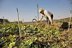 Certification Agriculture Biologique