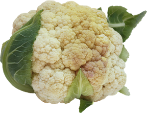 Choux Fleur