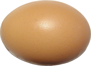 Oeuf de la ferme
