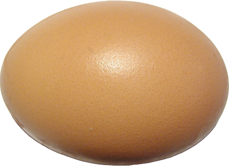Oeuf de la ferme
